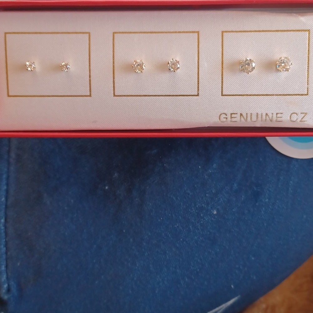Woman's earing set